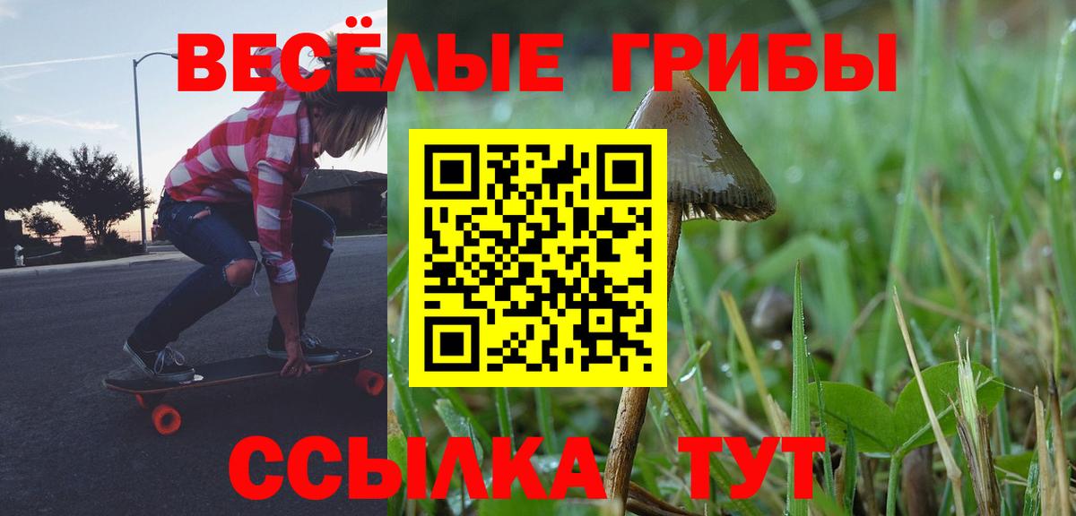 Псилоцибиновые грибы Psilocybine cubensis  Вход с VPN  Псилоцибиновые грибы Psilocybe  купить наркотик  Сочи 